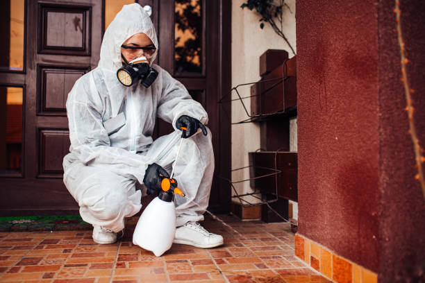 Attic and Crawl Space Rodent Treatment in Neshanic Station
