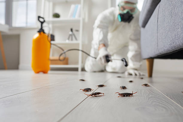 Commercial Rodent Management in Neshanic Station